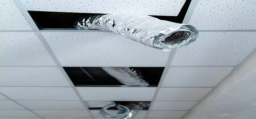 Affordable HVAC Sanitizing After Pest Removal in Baltimore