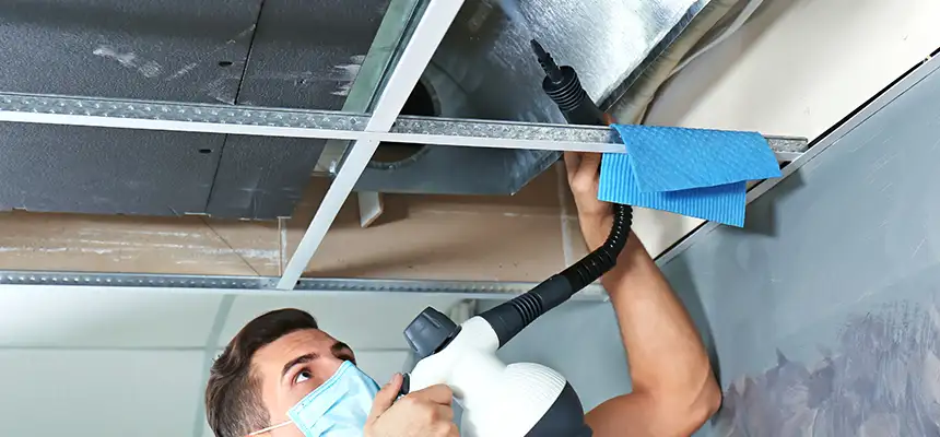 Our Air Duct Rodent Removal Services in Baltimore, MD