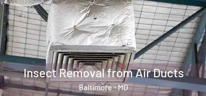  Insect Removal from Air Ducts Baltimore - MD
