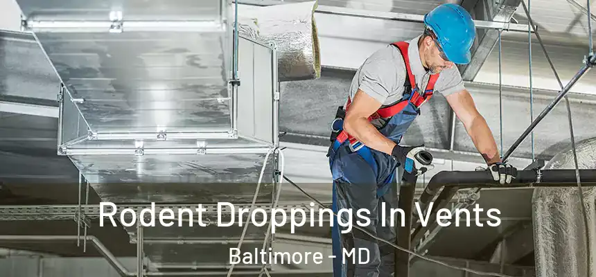  Rodent Droppings In Vents Baltimore - MD