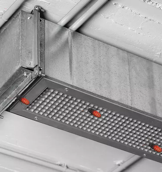 Affordable Insect Removal from Air Ducts in Baltimore, MD