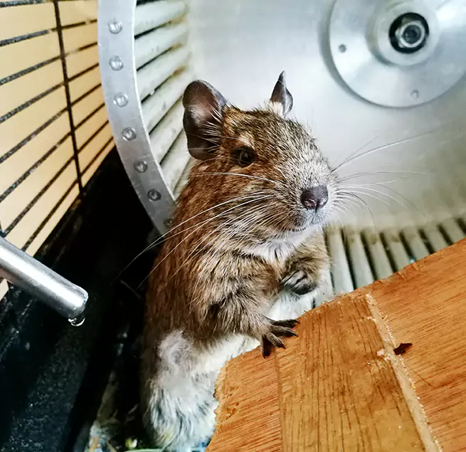 Why Homeowners & Businesses Trust Us Baltimore, MD?